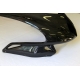 Tete de fourche version Route CARBONE MV AGUSTA F4 2010 / 2012