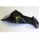 Support de plaque CARBONE MV AGUSTA F4 2010 / 2012