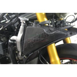 Déflecteur d'air de radiateur avec vase d'expansion intégré carbone CARBONVANI Panigale 899/959/1199/1299/R