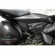 Protections de Cadre carbone CARBONVANI Ducati 1299 Panigale, Panigale R 2015-2016