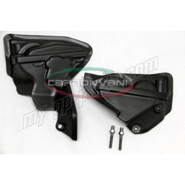 Protection de cylindre CARBONVANI Panigale 1299 15-17 / 1199 12-17 /959 16-19 / 899 14-15