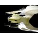 Flanc gauche fibre de verre 1199 SRT FAIRINGS